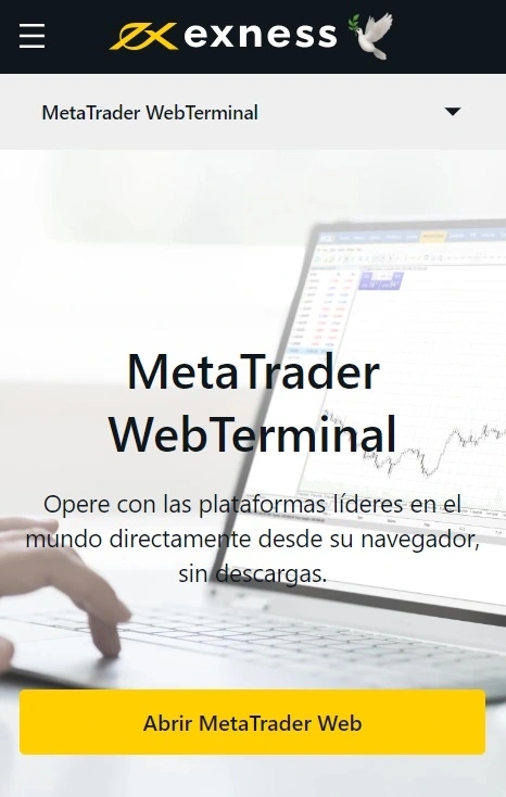 Ventajas y desventajas de la terminal web Exness