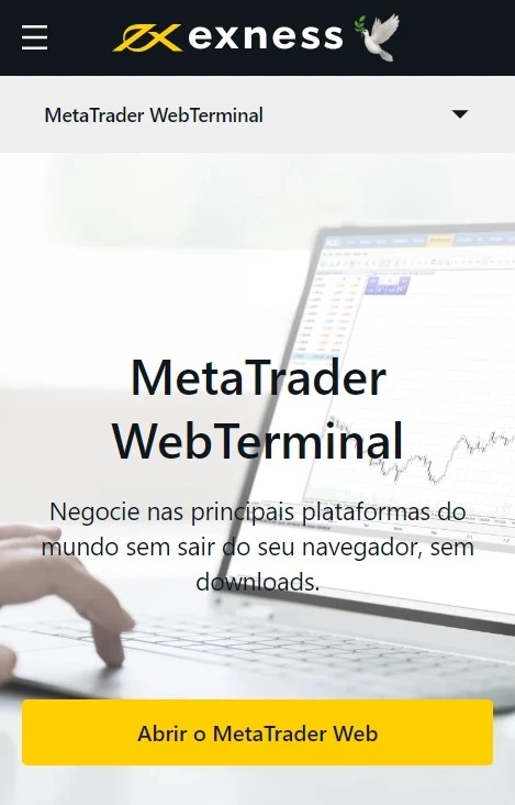 Vantagens e desvantagens do terminal Web Exness