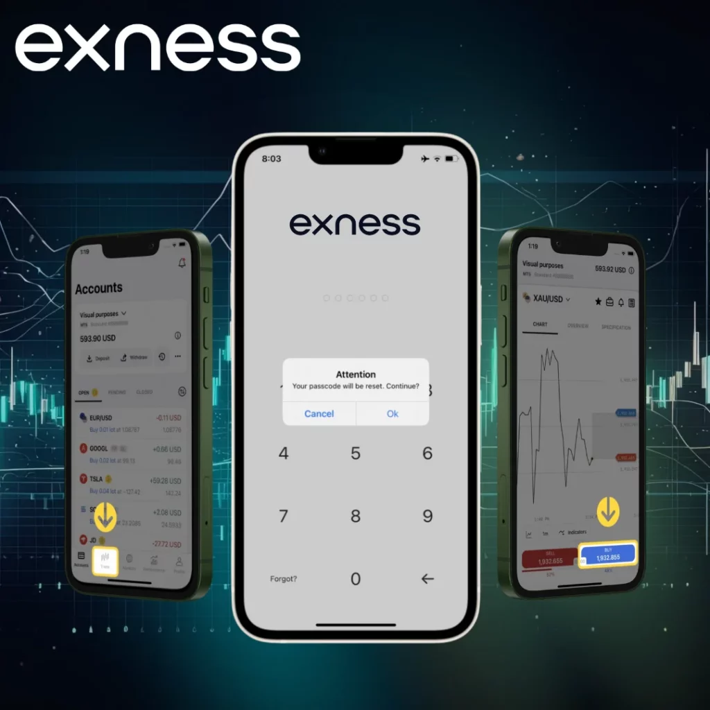 Exness Menggunakan PIN Dukungan